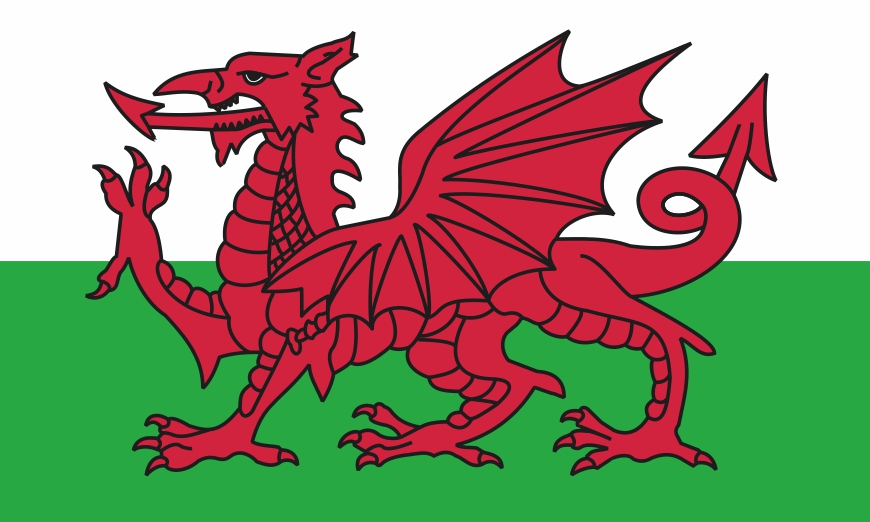 Nationalflagge/Fahne Wales